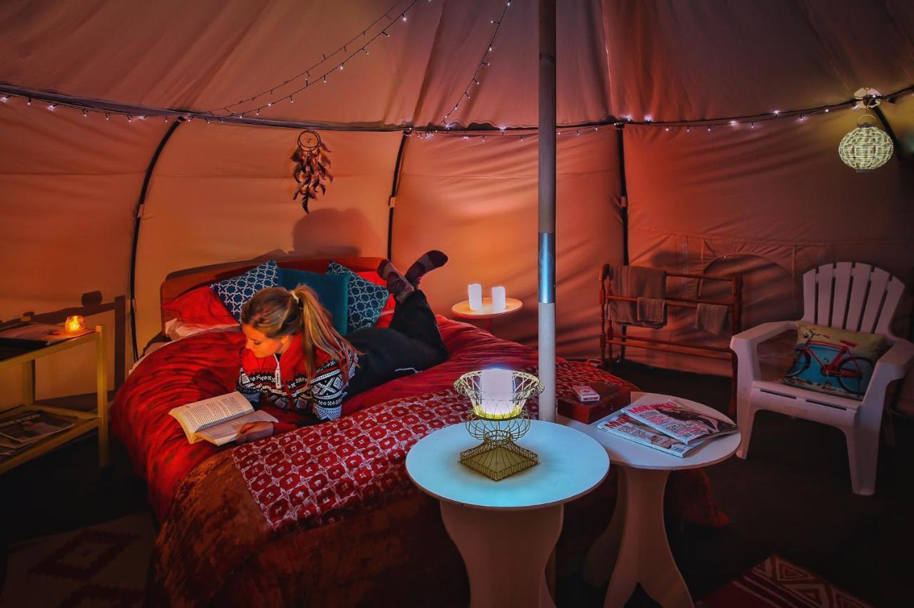 מלון וואנאקה Mt Gold Glamping מראה חיצוני תמונה