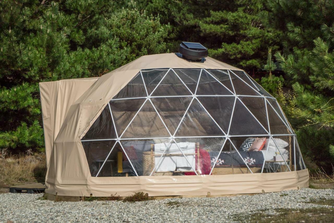 מלון וואנאקה Mt Gold Glamping מראה חיצוני תמונה